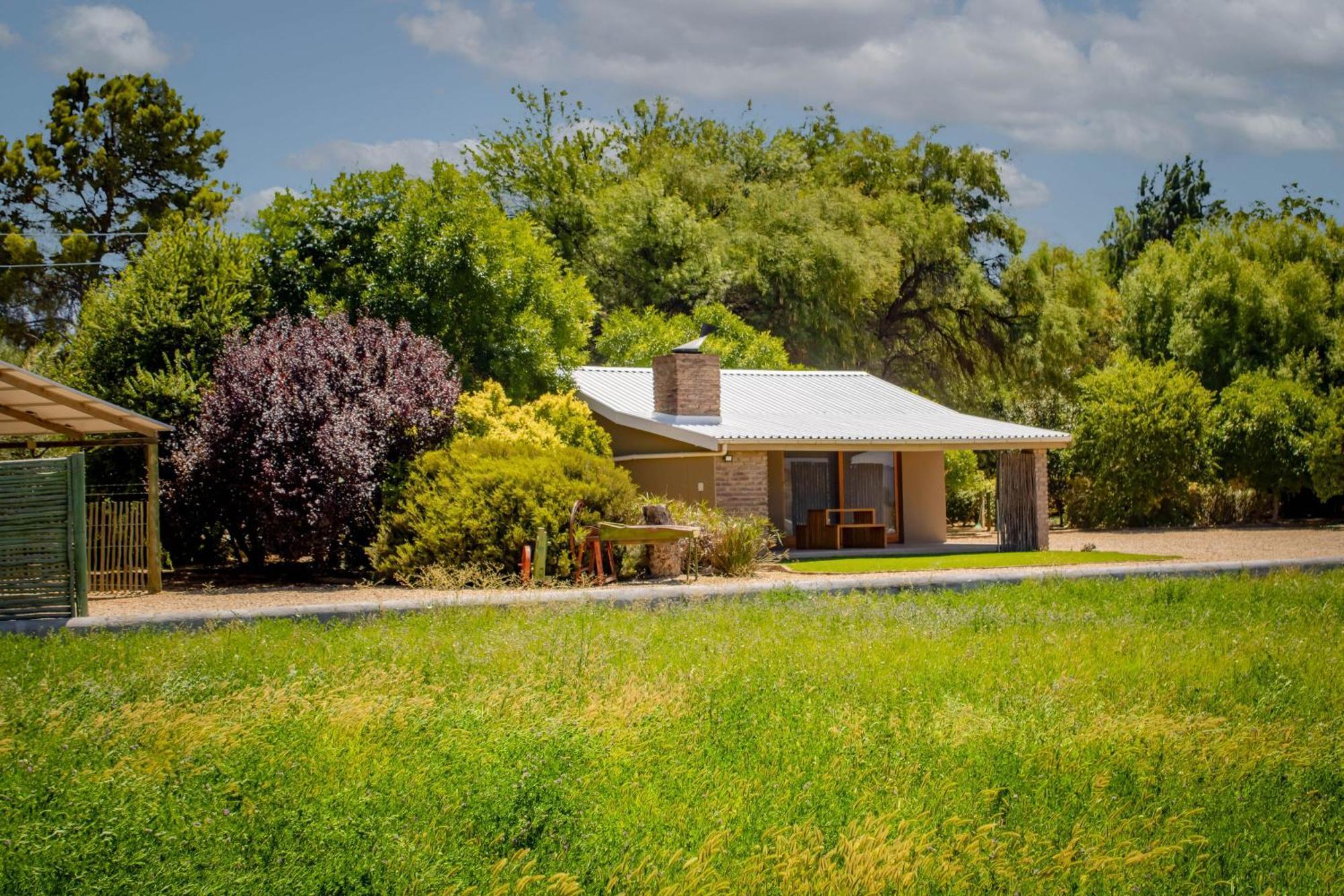 Tarantula Guest House Calvinia Exterior foto