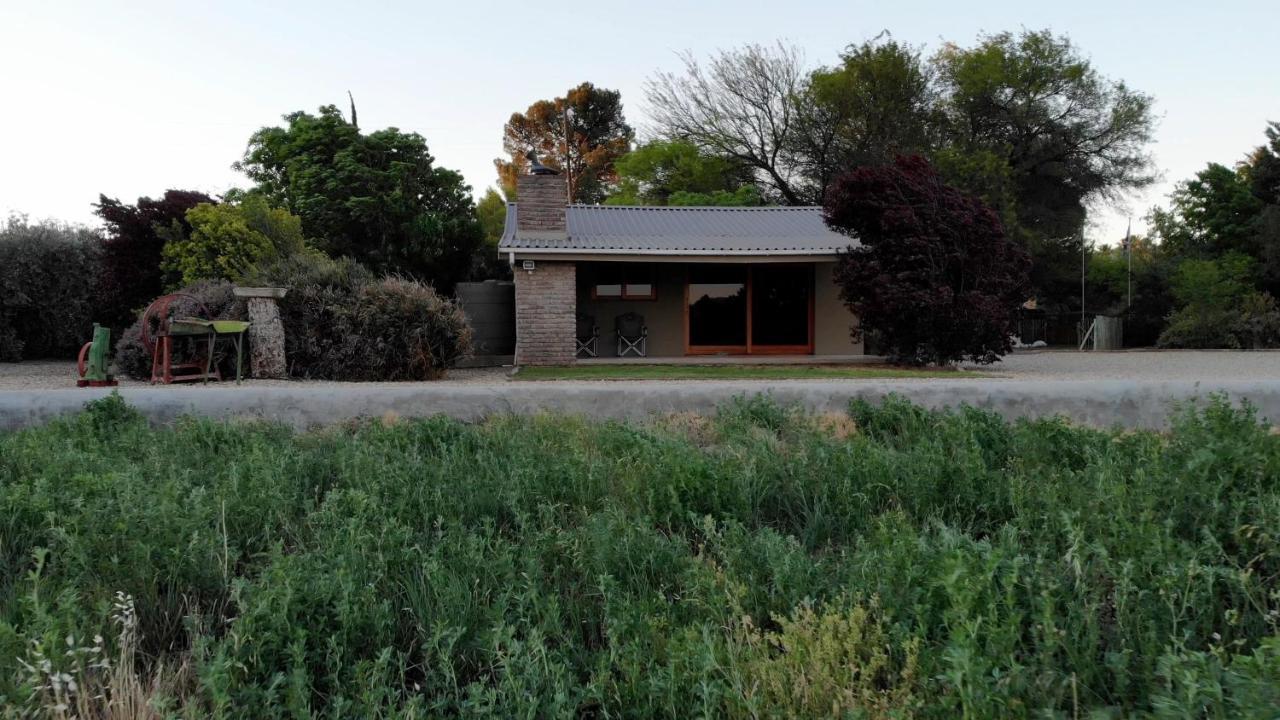 Tarantula Guest House Calvinia Exterior foto