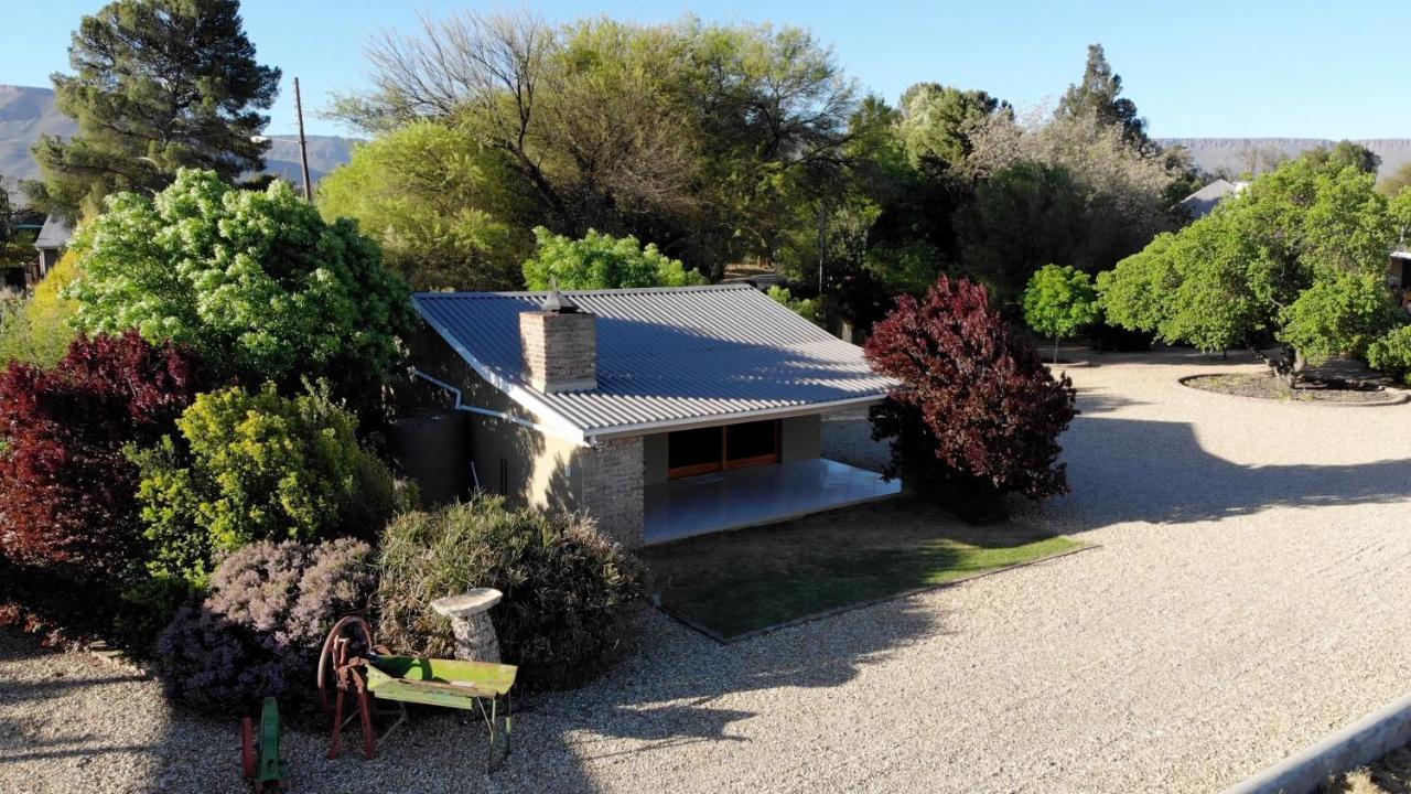 Tarantula Guest House Calvinia Exterior foto